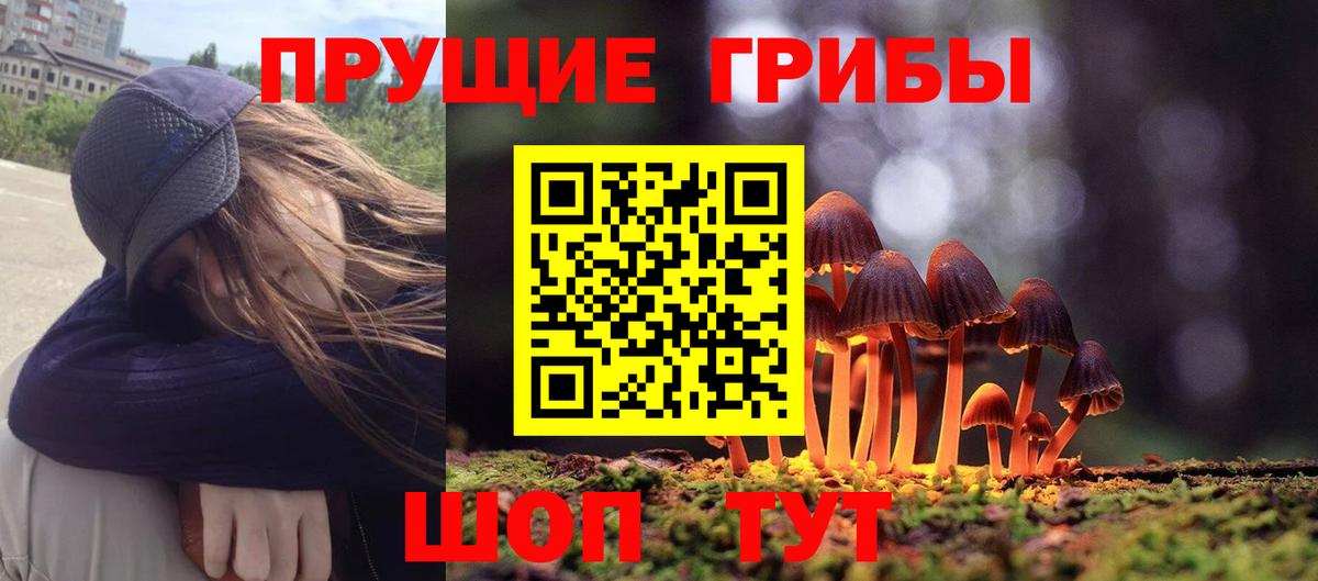 Бузулук  Псилоцибиновые грибы Magic Shrooms  Вход с VPN 